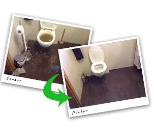 WC-Verstopfung Mücke